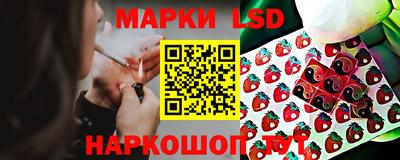 мяу мяу мука Беслан