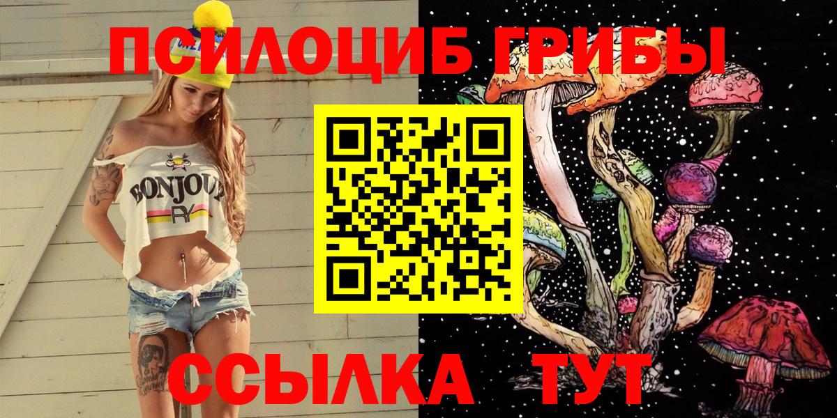 Галлюциногенные грибы прущие грибы Кириши